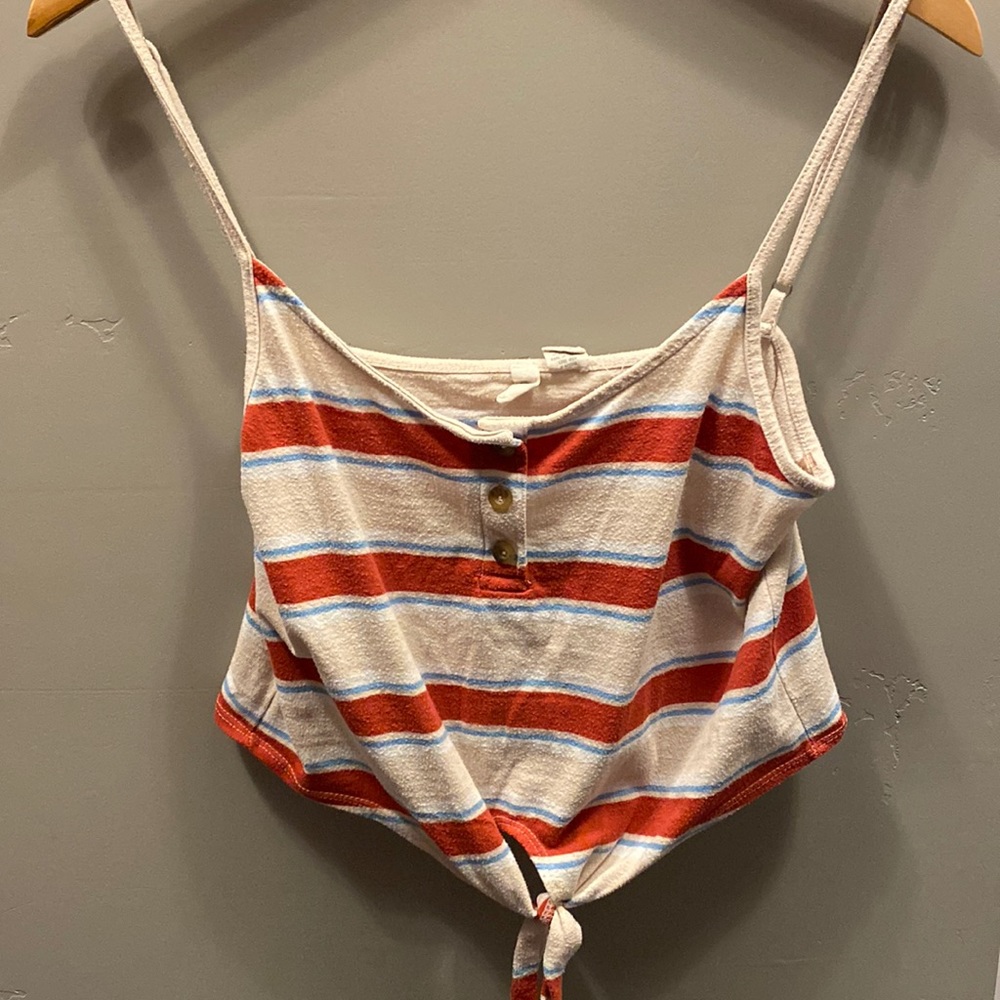 medium striped sky and sparrow crop top
